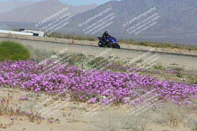 media/Feb-04-2023-SoCal Trackdays (Sat) [[8a776bf2c3]]/Turn 15 Inside Blooming (1050am)/